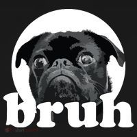 Pug Says Bruh Adorable Dog Funny Humor Fashion Women's Hoodie thumb 2