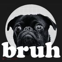 Pug Says “Bruh” – Adorable Dog Funny Humor Fashion Women's Hoodie thumb 2