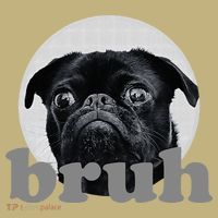 Pug Says “Bruh” – Adorable Dog Funny Humor Fashion T-Shirt thumb 7