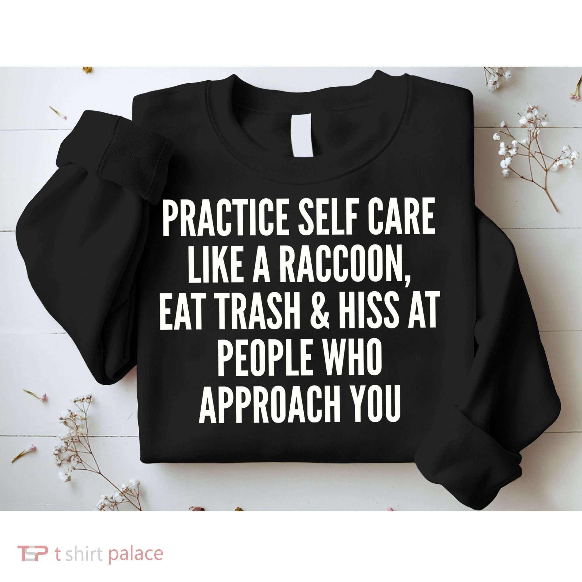 Practice Self Care Like A Raccoon Eat Trash & Hiss At People Who Approach You Sweatshirt