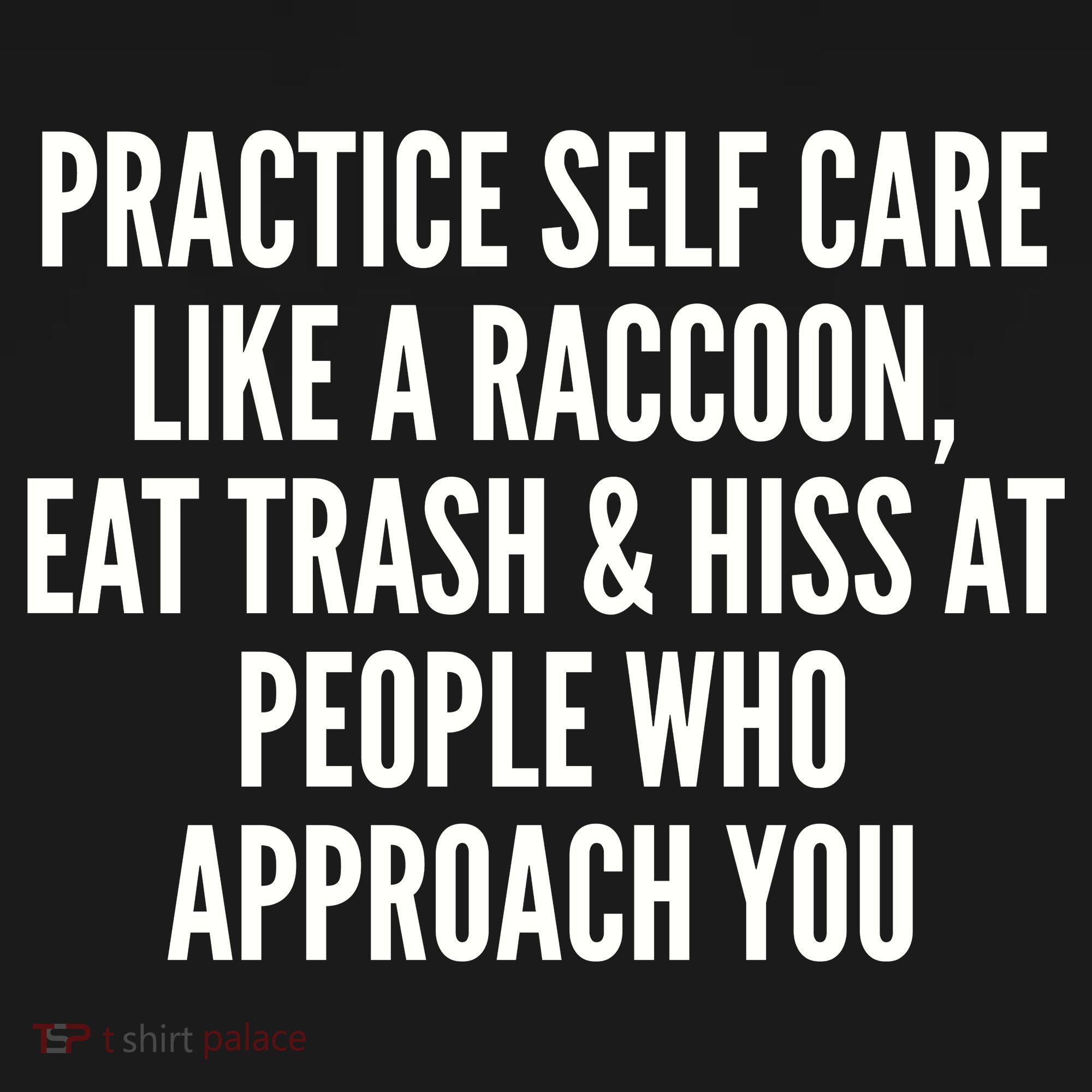 Practice Self Care Like A Raccoon Eat Trash & Hiss At People Who Approach You Women's Tank Top