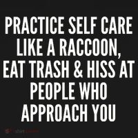 Practice Self Care Like A Raccoon Eat Trash & Hiss At People Who Approach You Toddler Hoodie thumb 2
