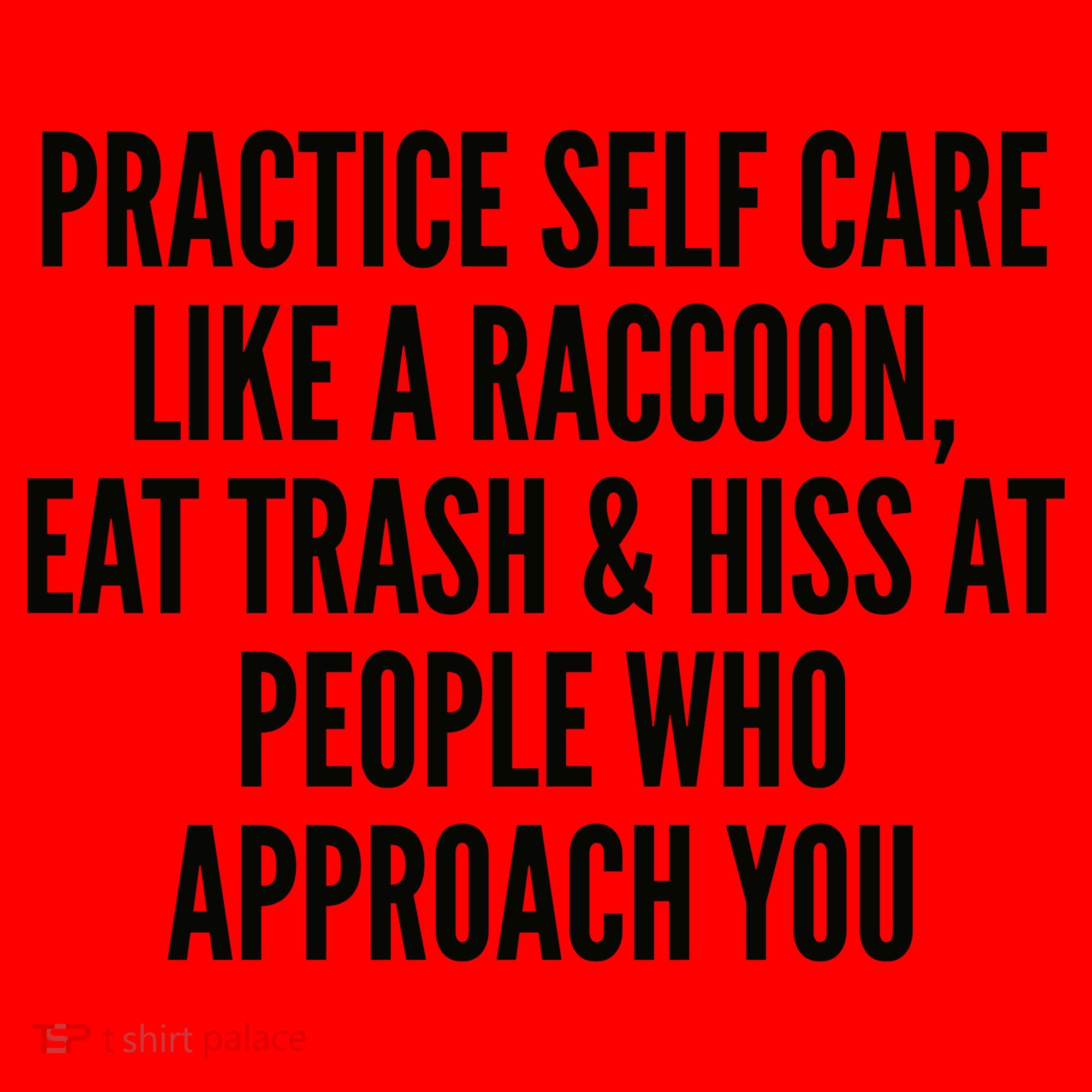 Practice Self Care Like A Raccoon Eat Trash & Hiss At People Who Approach You Santa Hat