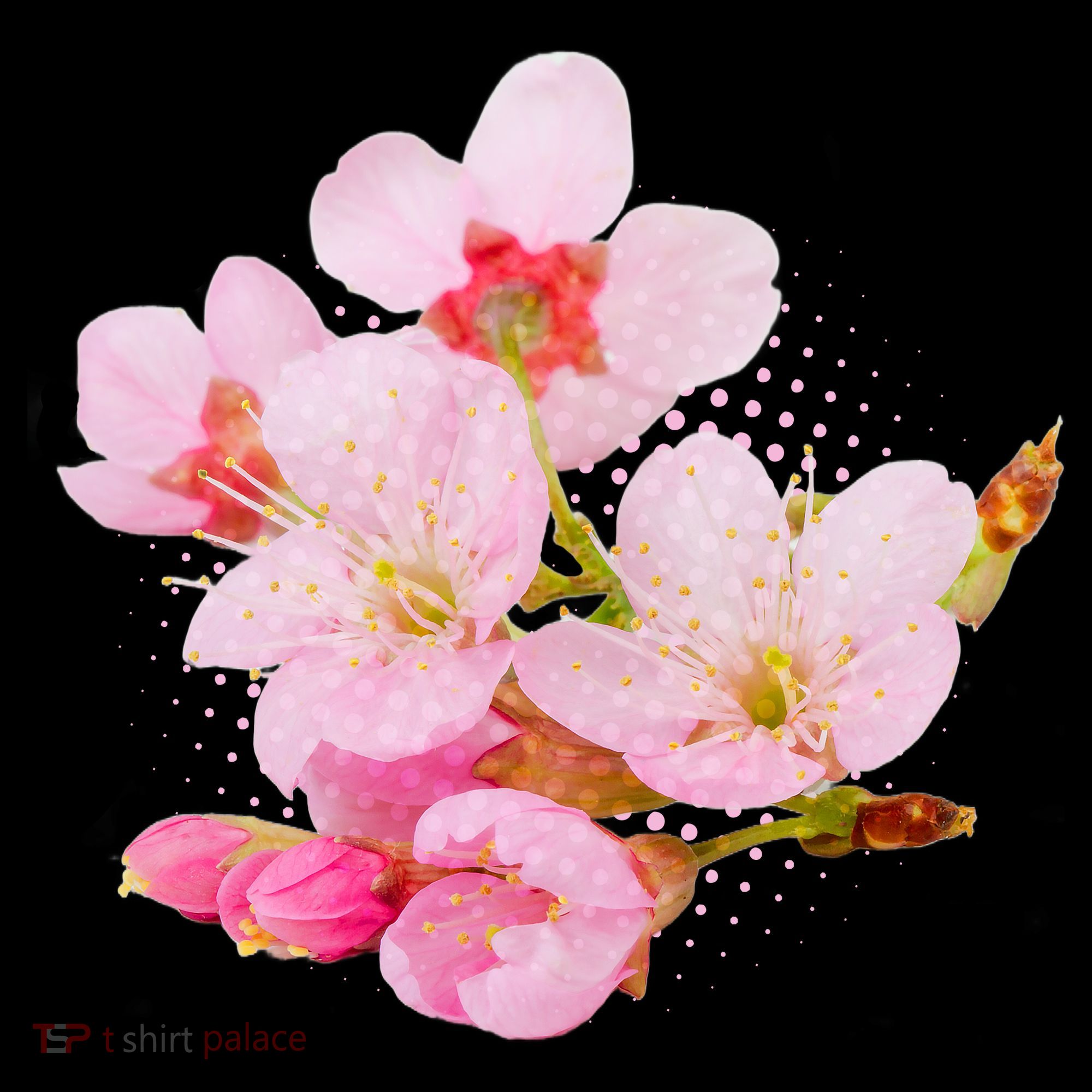 Pink Springtime Cherry Blossoms Sakura Visor