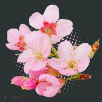 Pink Springtime Cherry Blossoms Sakura Kids T-Shirt thumb 4