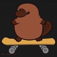 Platypus Skateboard Cute Skateboarding Platypus Bucket Hat thumb 4