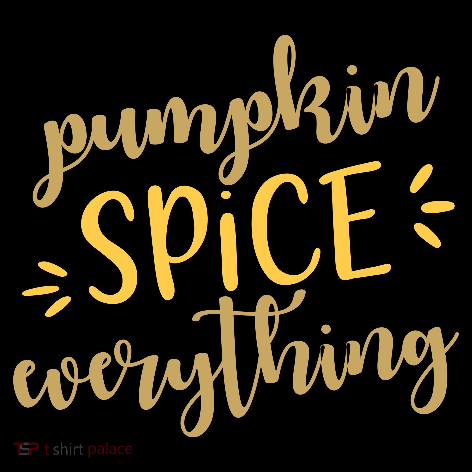 Pumpkin Spice Everything Toddler Hoodie