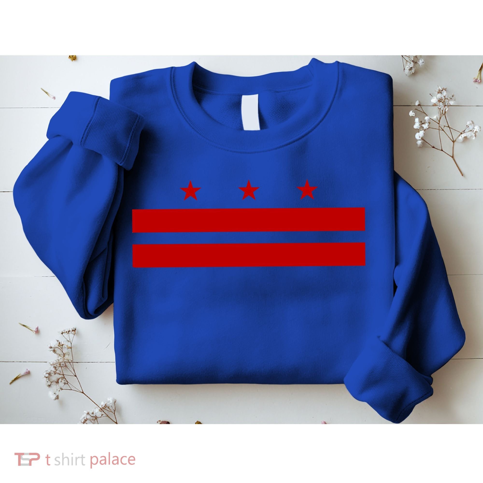 Patriotic State Flag Of Washington Dc Cool Gift Sweatshirt