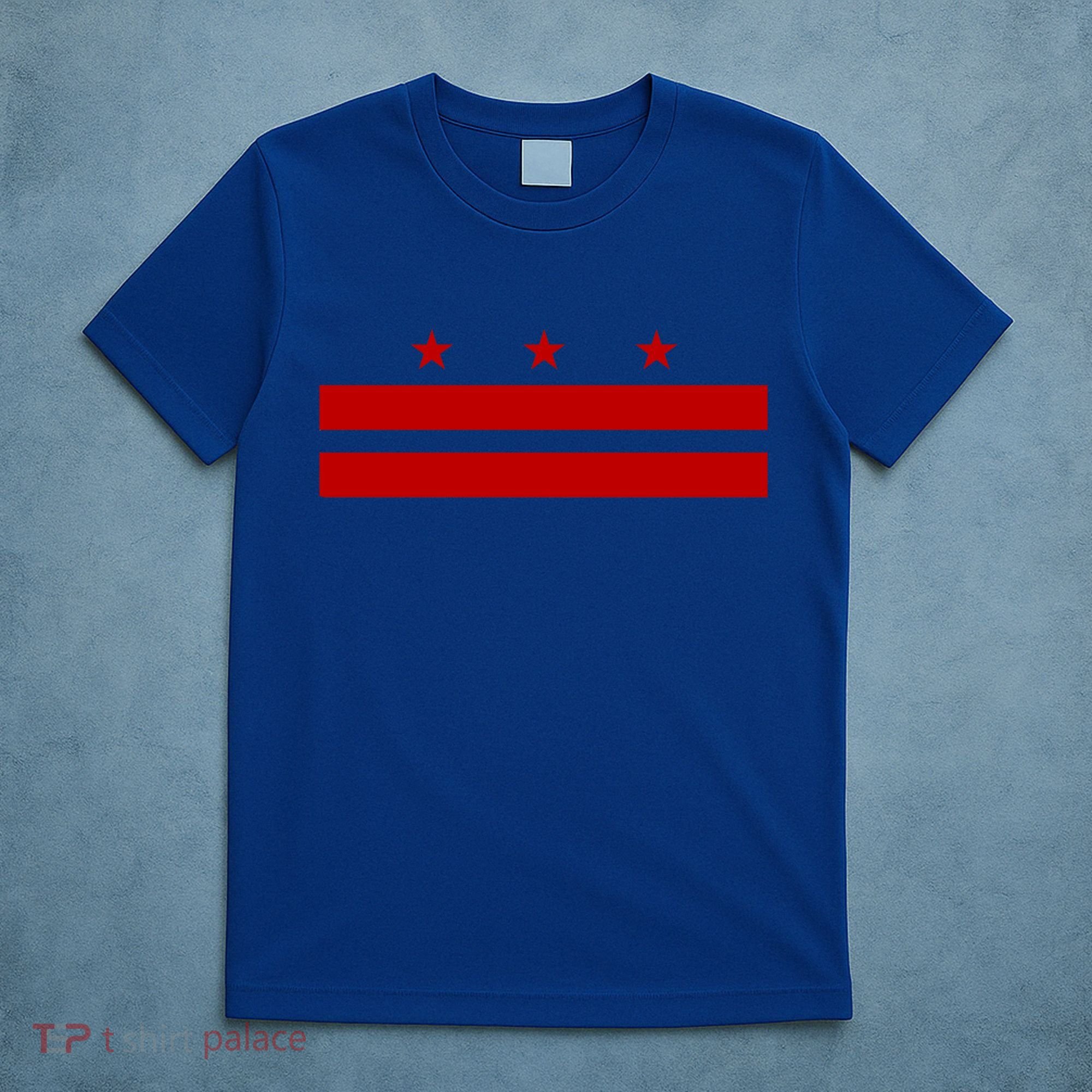 Patriotic State Flag Of Washington Dc Cool Gift T-Shirt