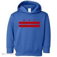 Patriotic State Flag Of Washington Dc Cool Gift Toddler Hoodie thumb 0
