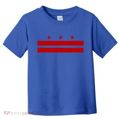 Patriotic State Flag Of Washington Dc Cool Gift Toddler T-Shirt