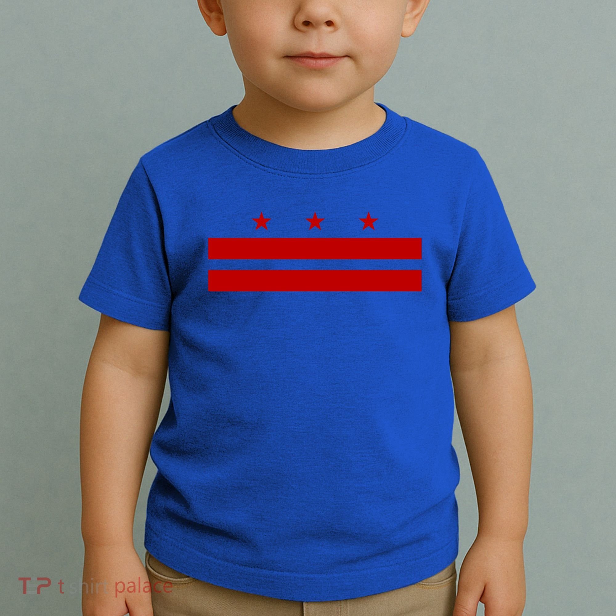Patriotic State Flag Of Washington Dc Cool Gift Toddler T-Shirt
