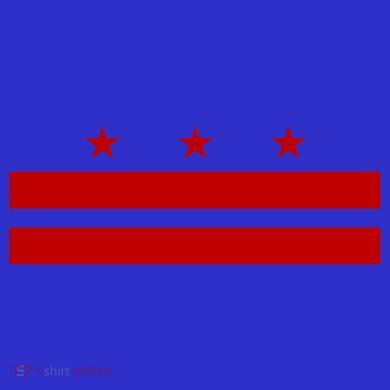 Patriotic State Flag Of Washington Dc Cool Gift Toddler T-Shirt