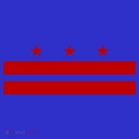 Patriotic State Flag Of Washington Dc Cool Gift Women's T-Shirt thumb 6