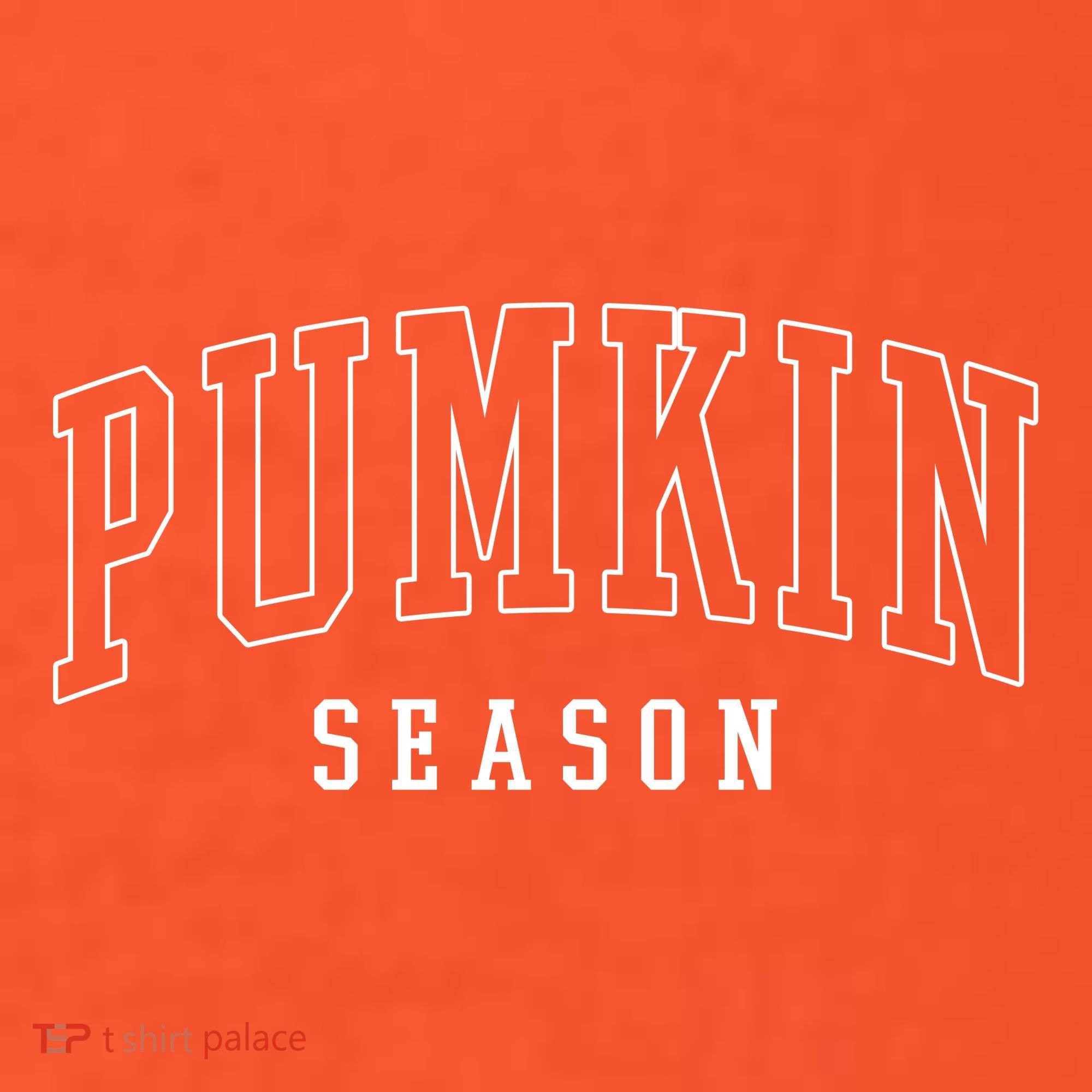 Pumpkin Season Fall Lover Coaster