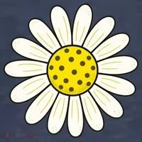 Pickleball Sun Flower Daisy Women's T-Shirt thumb 6