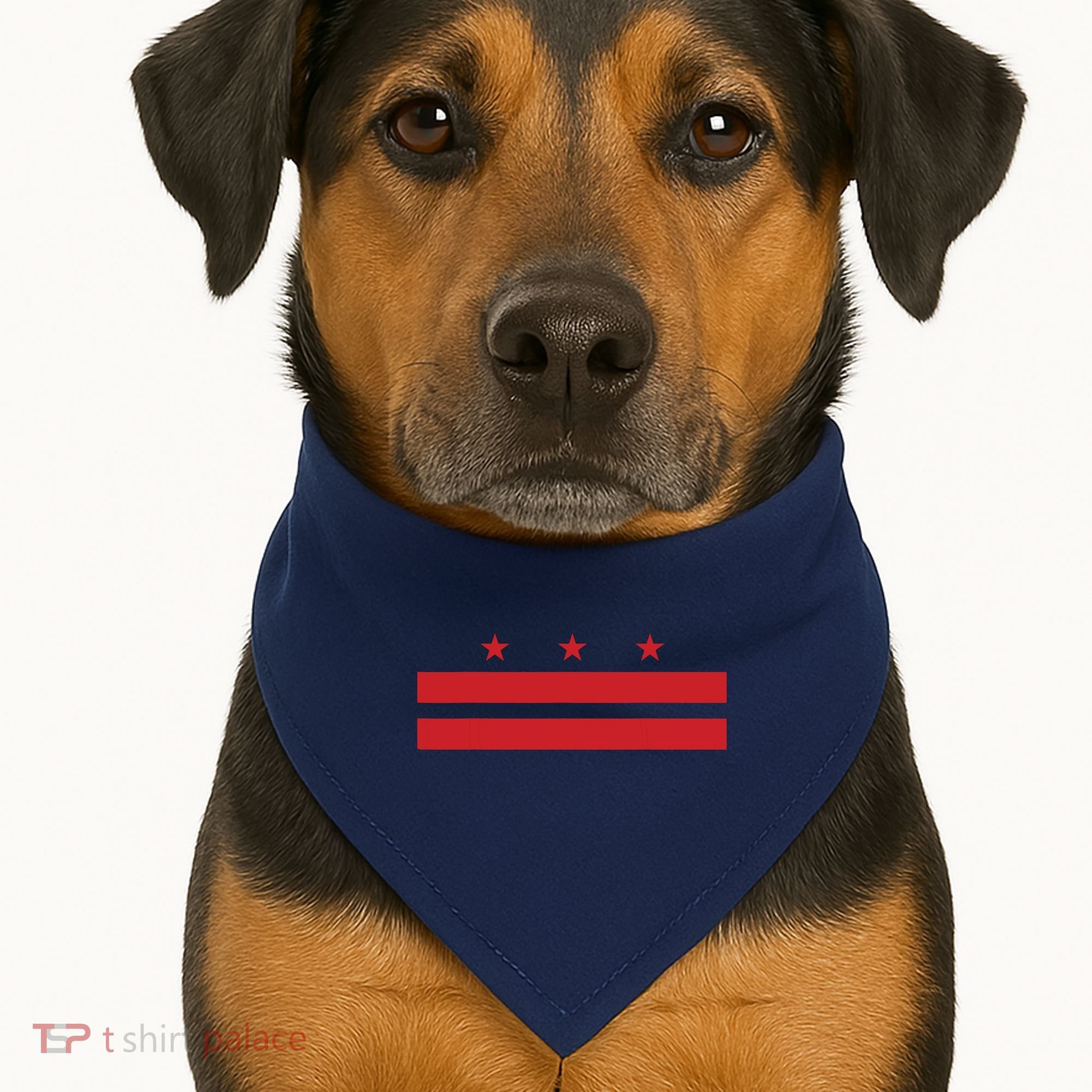 Patriotic State Flag Of Washington Dc USA-Made Doggie Bandana