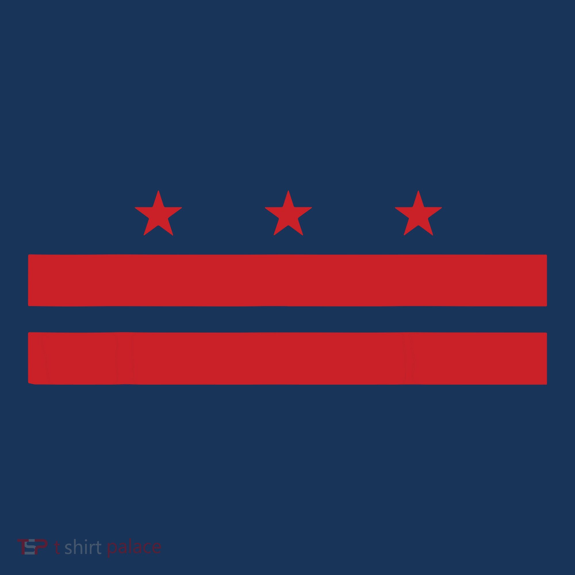 Patriotic State Flag Of Washington Dc Hoodie