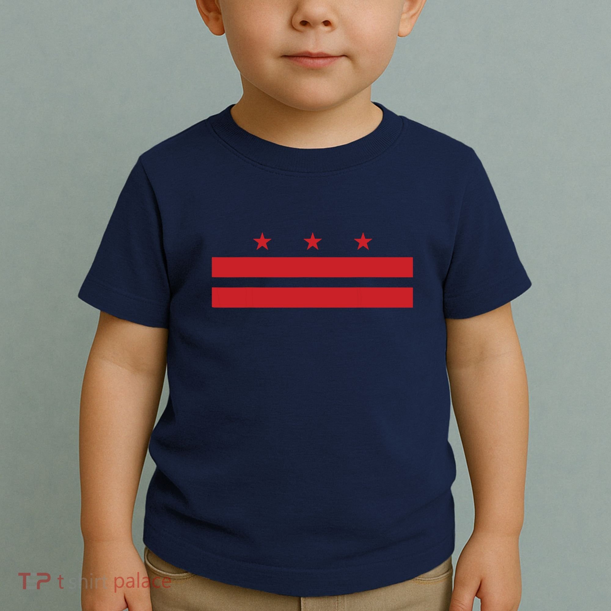 Patriotic State Flag Of Washington Dc Toddler T-Shirt
