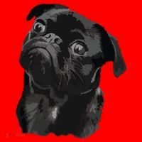 Pug Shirts For Dog Mom Dad Funny Cute Black Pug Santa Hat thumb 1