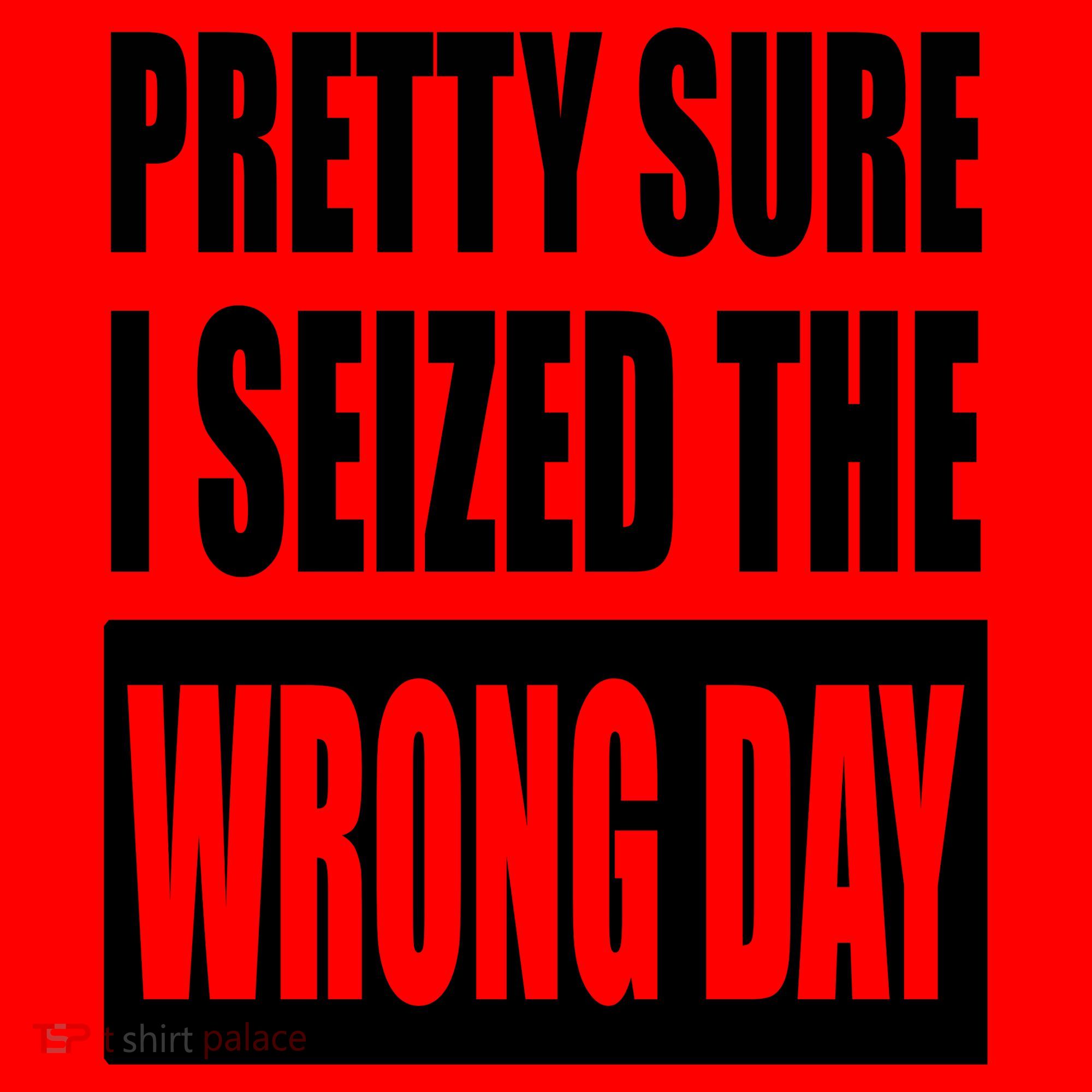Pretty Sure I Seized The Wrong Day Funny Saying Santa Hat