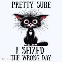 Pretty Sure I Seized The Wrong Day Women's T-Shirt thumb 6
