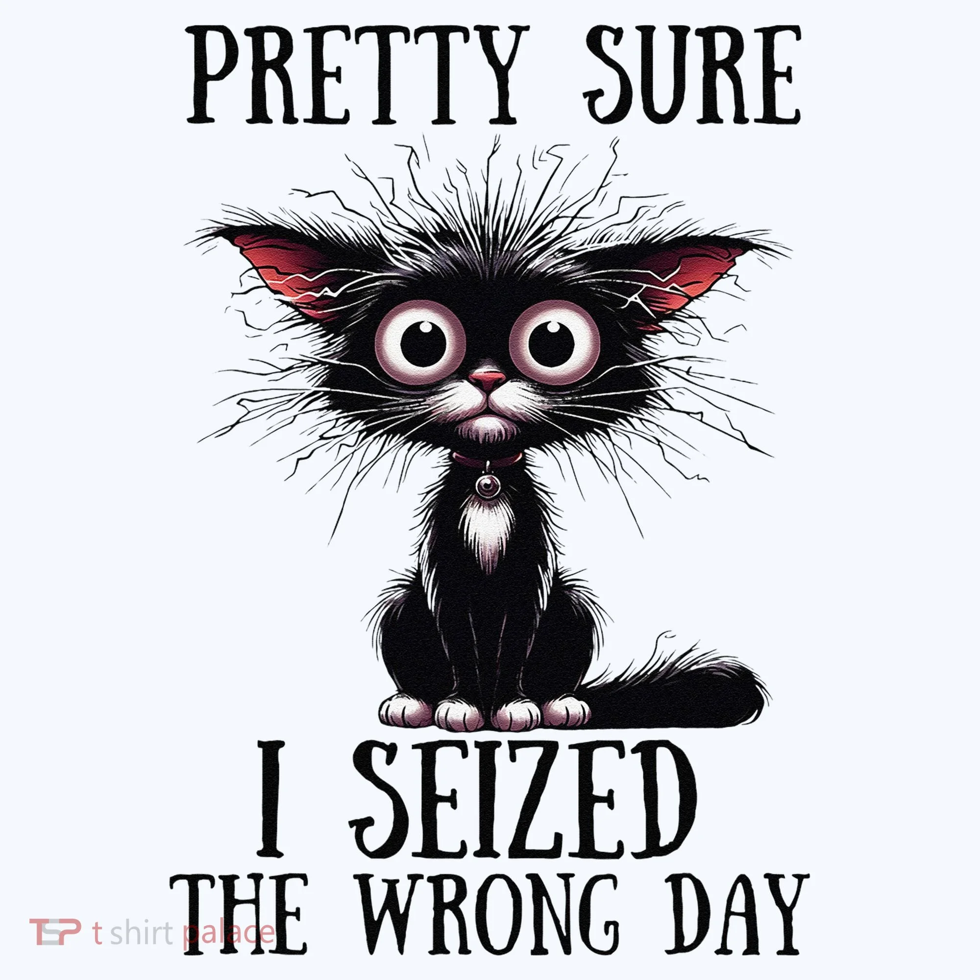 Pretty Sure I Seized The Wrong Day Women's T-Shirt