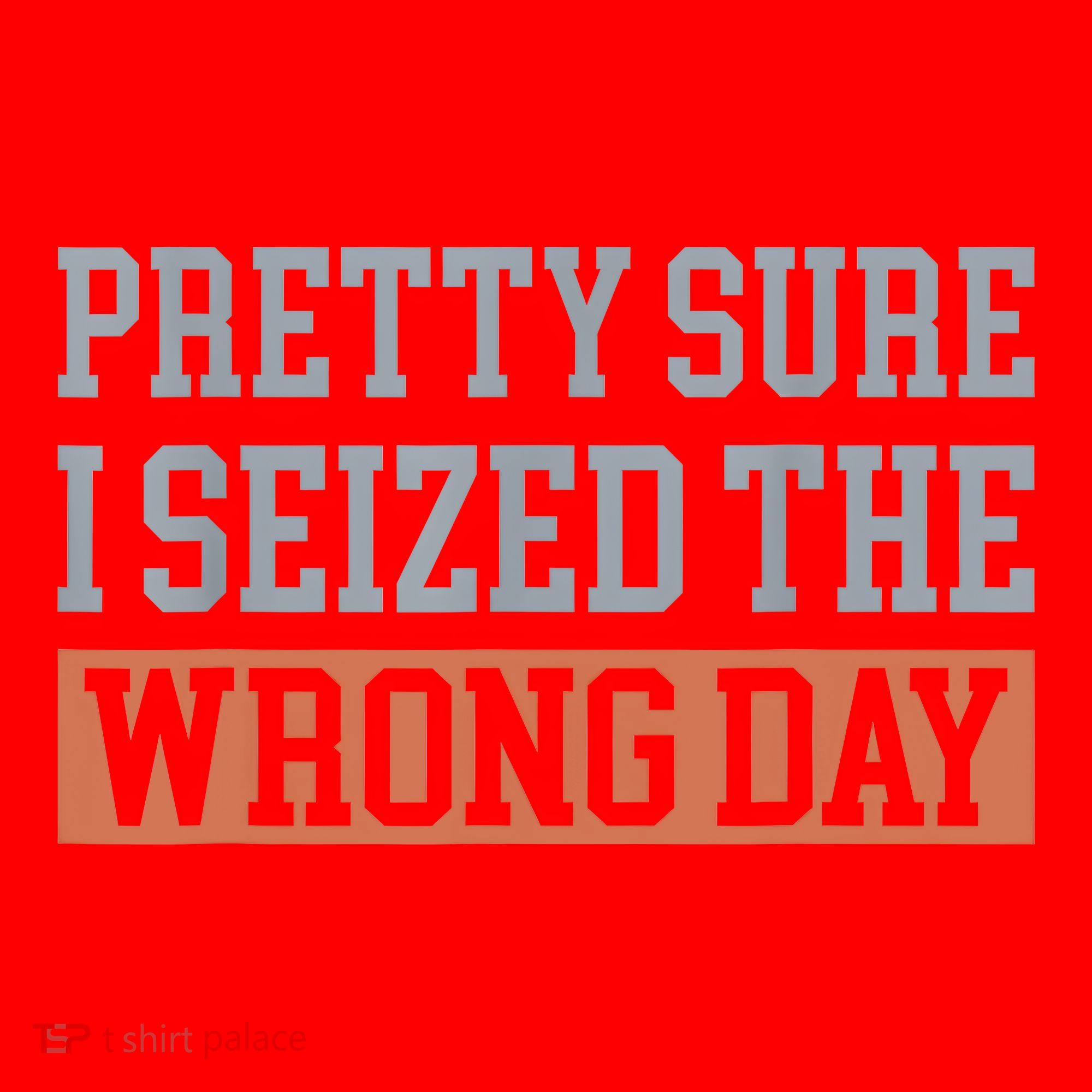 Pretty Sure I Seized The Wrong Day Funny Quote Santa Hat