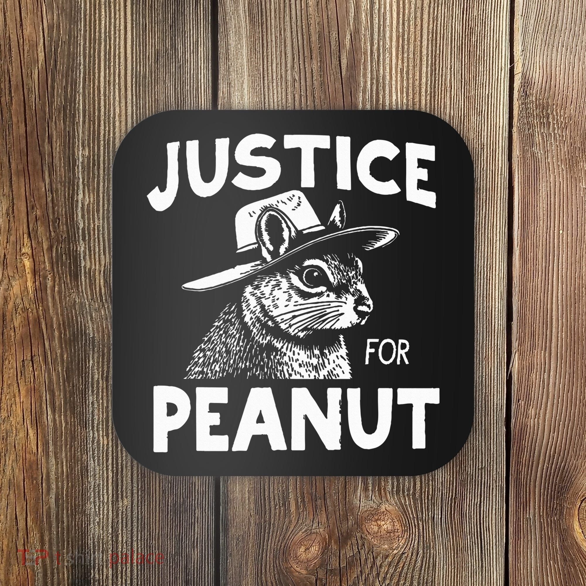Peanut Squirrel Justice For Peanut Coaster
