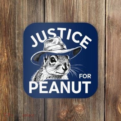 Peanut Squirrel Justice For Peanut Coaster