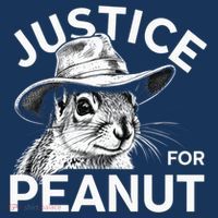 Peanut Squirrel Justice For Peanut Kids T-Shirt thumb 4