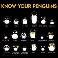 Penguin Species Know Your Penguins Gift Bucket Hat thumb 4