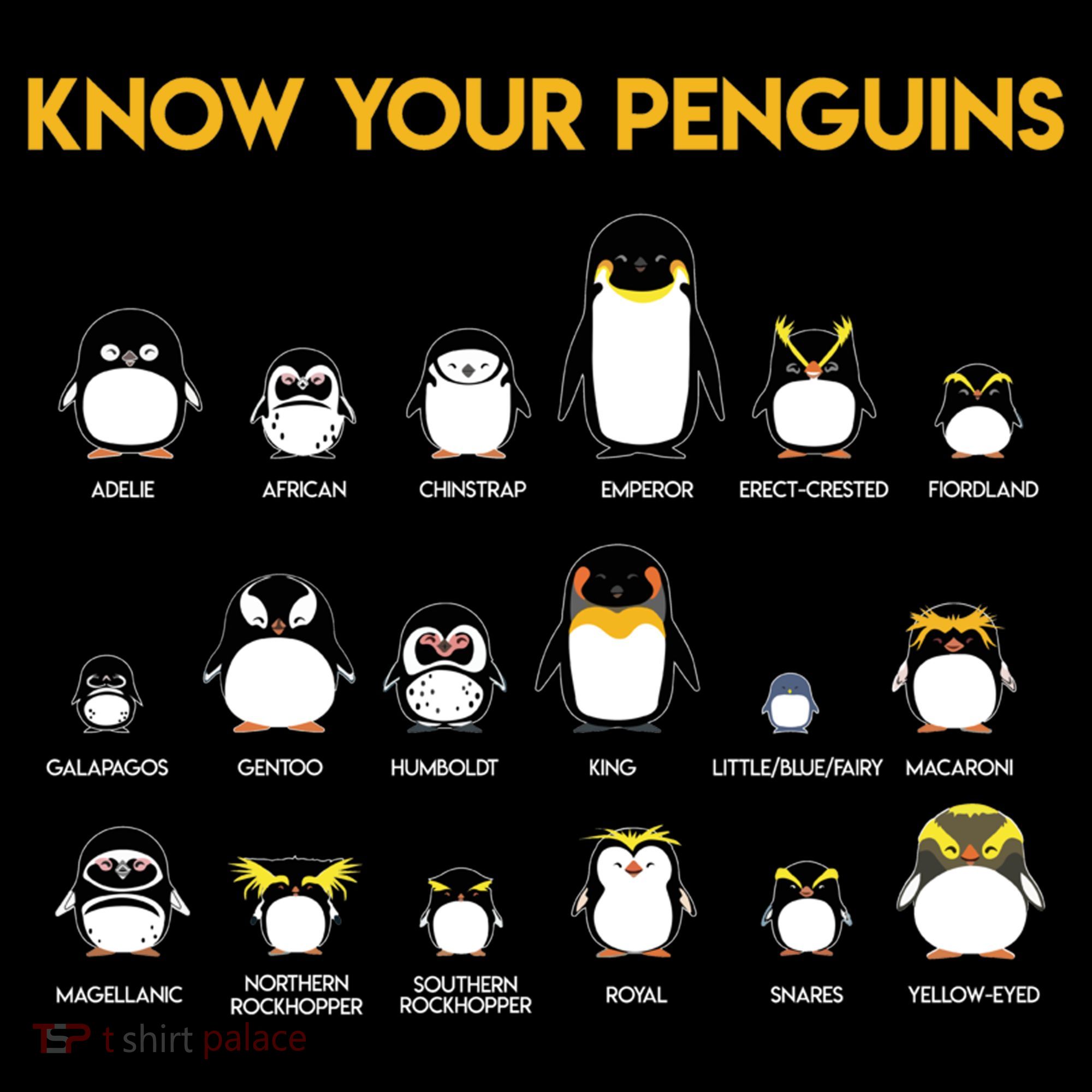 Penguin Species Know Your Penguins Gift Bucket Hat