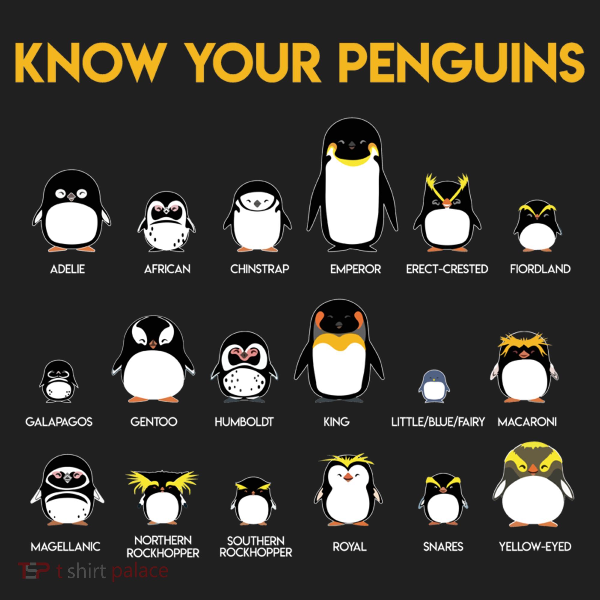 Penguin Species Know Your Penguins Gift Golf Towel