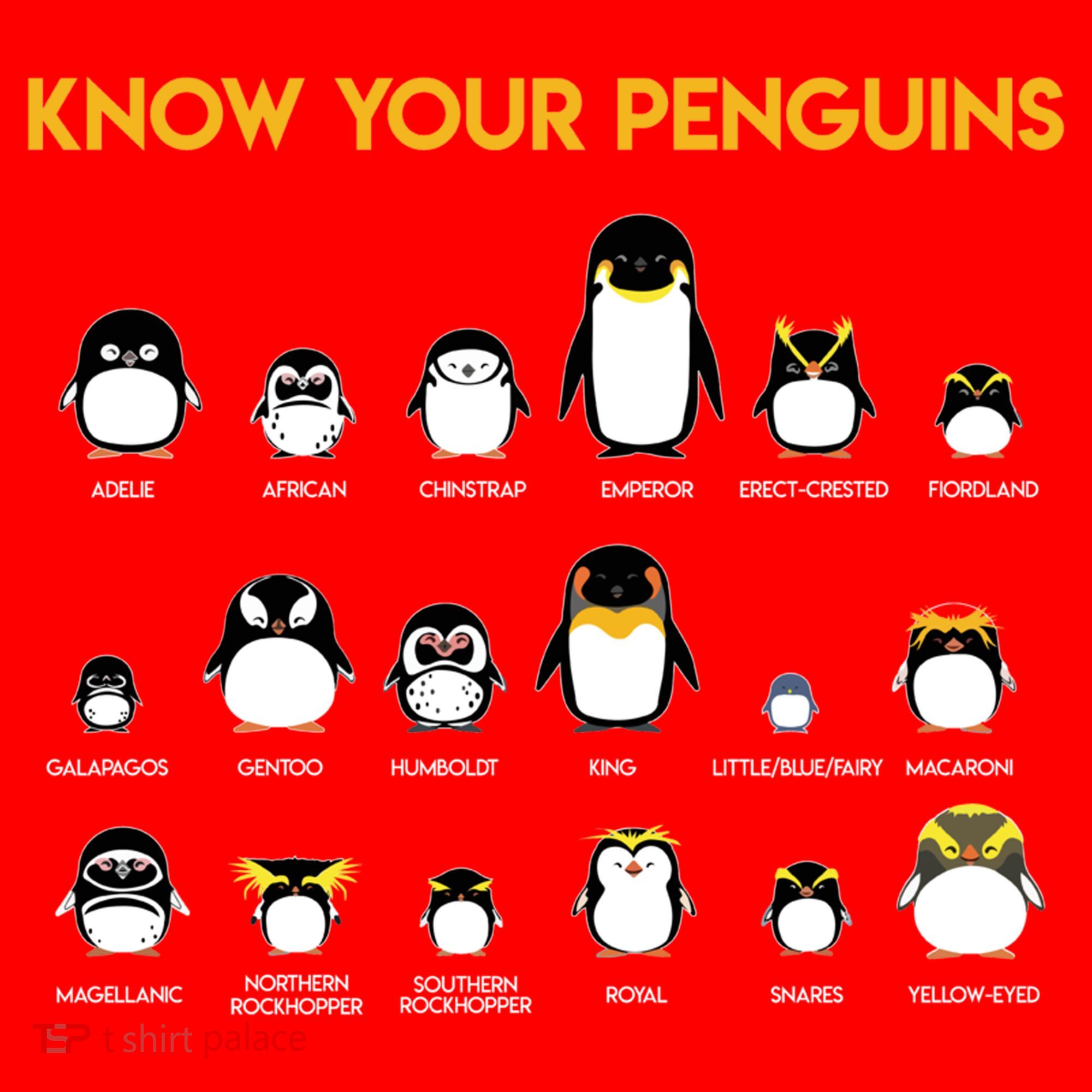 Penguin Species Know Your Penguins Gift Santa Hat