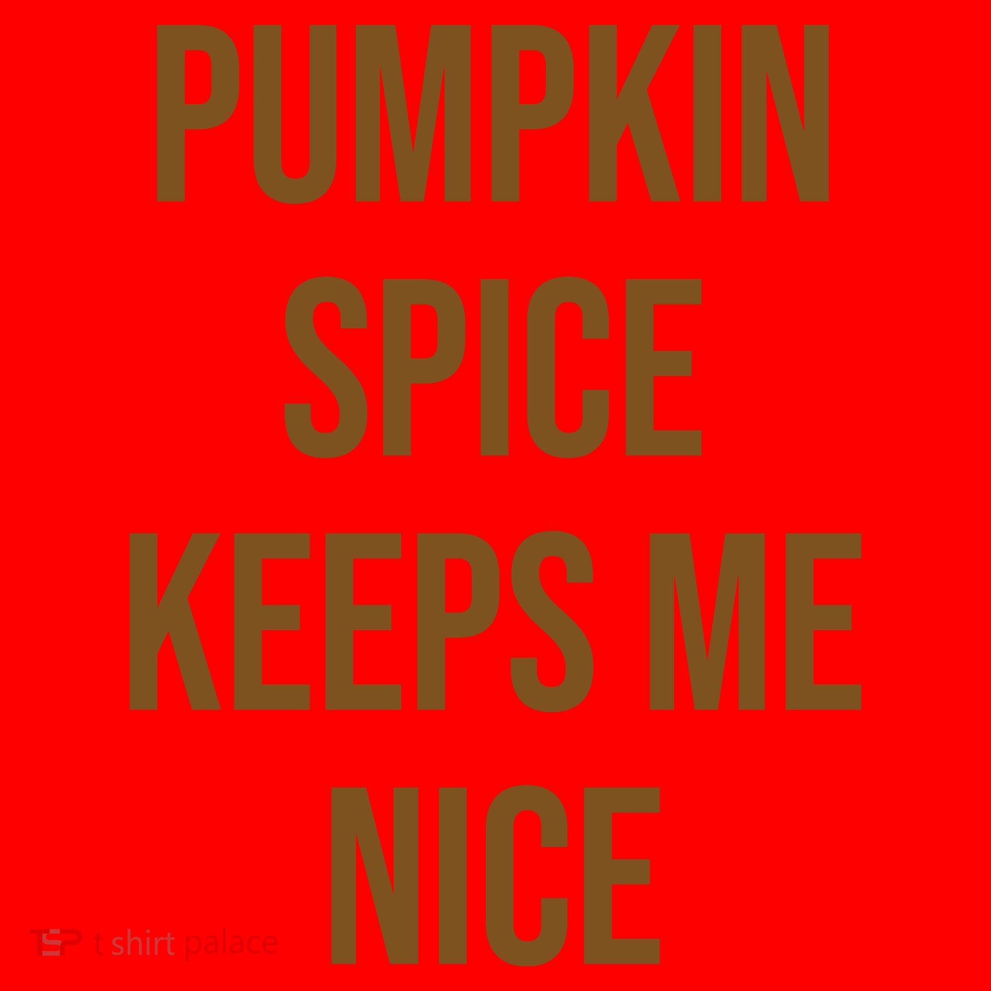 Pumpkin Spice Keeps Me Nice Funny Fall Santa Hat