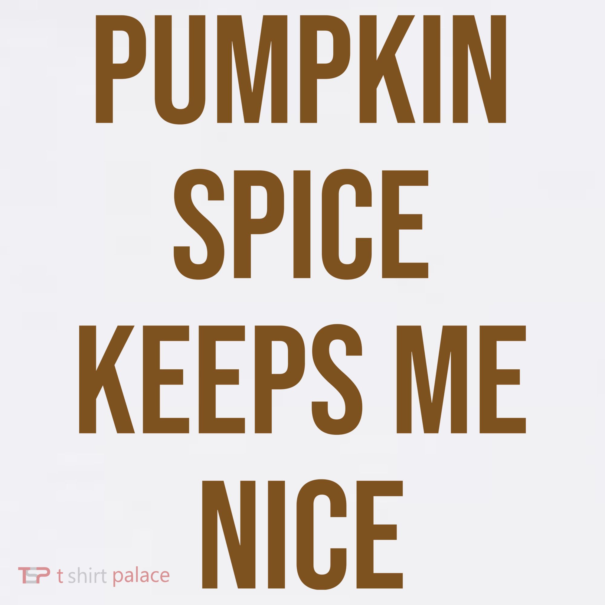 Pumpkin Spice Keeps Me Nice Funny Fall Long Sleeve Shirt