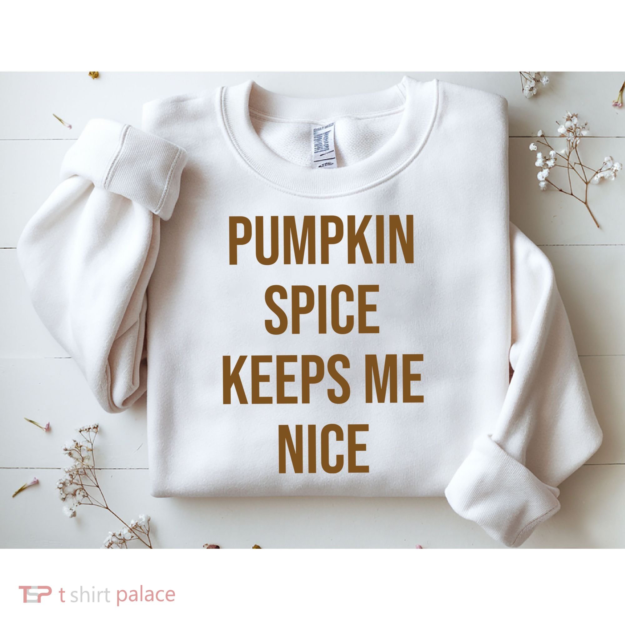 Pumpkin Spice Keeps Me Nice Funny Fall Sweatshirt