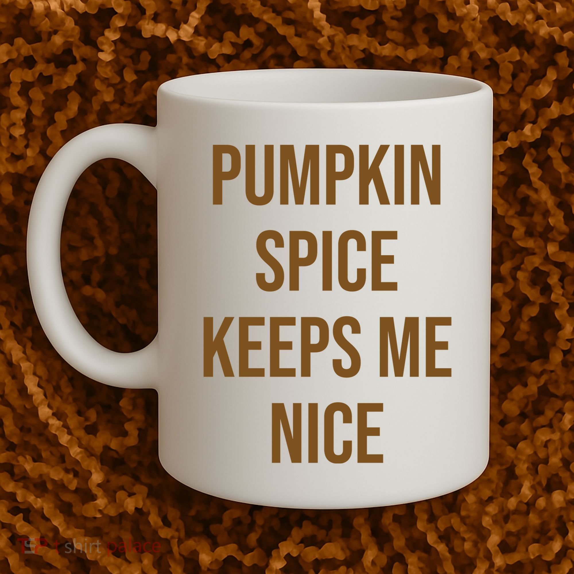 Pumpkin Spice Keeps Me Nice Funny Fall Coffee Mug