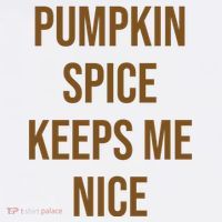 Pumpkin Spice Keeps Me Nice Funny Fall Beanie thumb 2