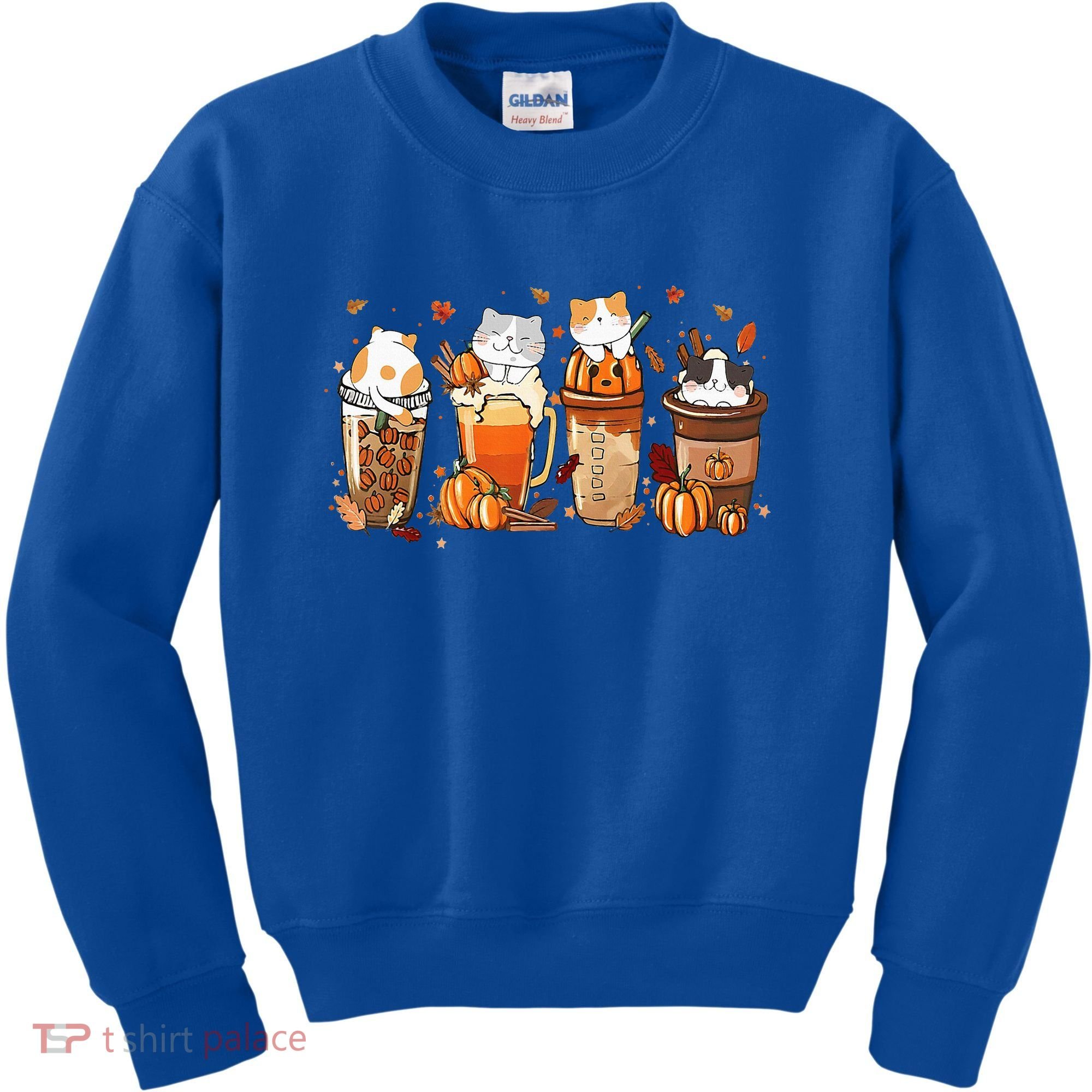 Pumpkin Spice Latte Costume For Cats Lover Kids Sweatshirt