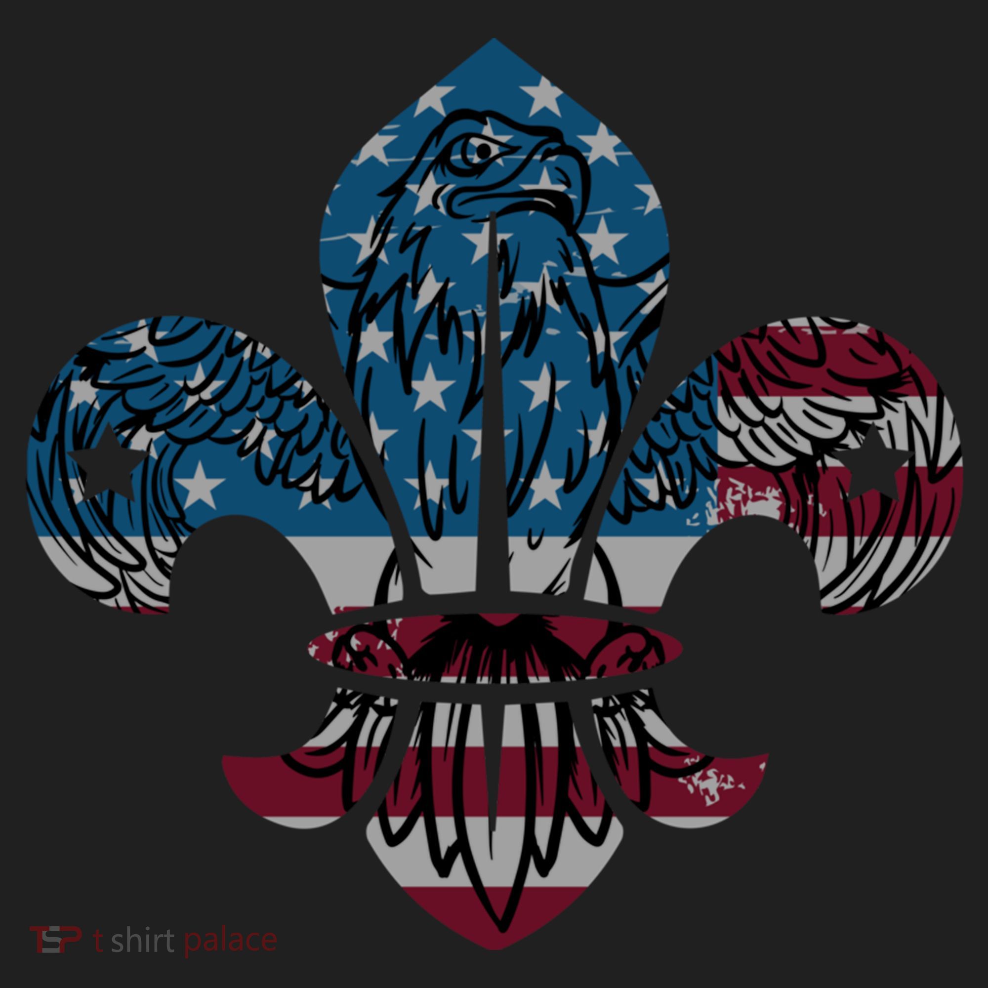 Patriotic Scout Logo Scouting Lover Us Flag Eagle Cool Gift Beanie