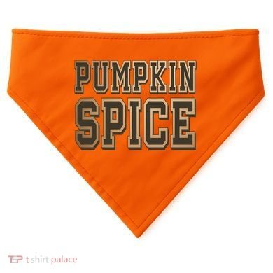 Pumpkin Spice Lover Fall USA-Made Doggie Bandana