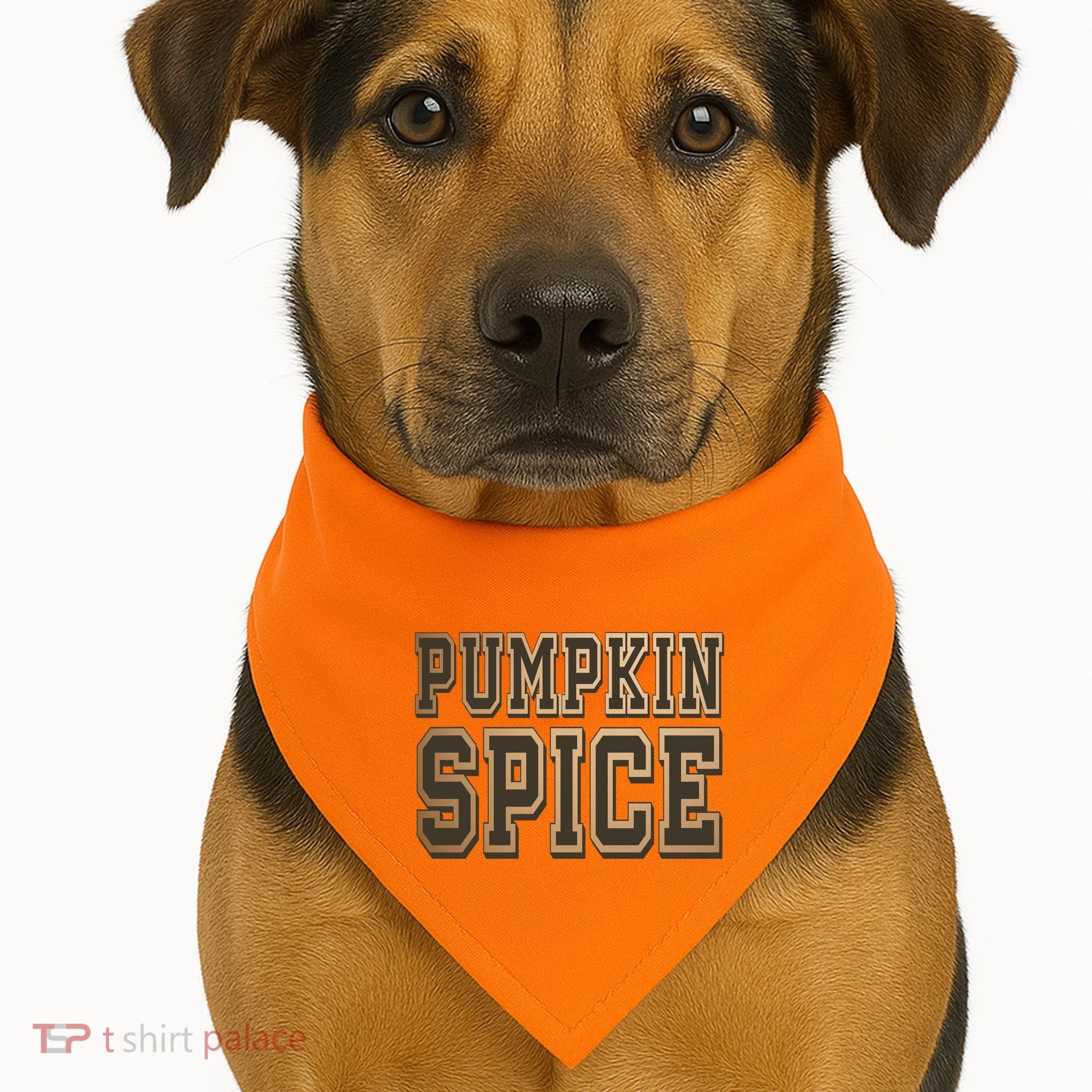 Pumpkin Spice Lover Fall USA-Made Doggie Bandana