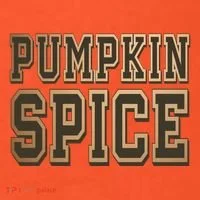 Pumpkin Spice Lover Fall T-Shirt thumb 7