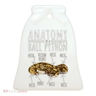 Python Snake Owner Anatomy Of A Ball Python Ceramic Ornament