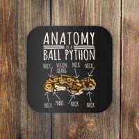 Python Snake Owner Anatomy Of A Ball Python Coaster thumb 0