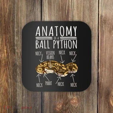 Python Snake Owner Anatomy Of A Ball Python Coaster