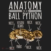 Python Snake Owner Anatomy Of A Ball Python Tumbler thumb 3