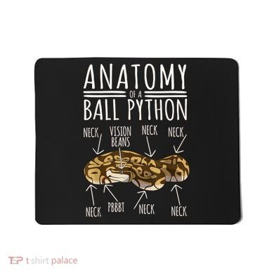 Python Snake Owner Anatomy Of A Ball Python Mousepad